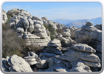 028 Torcal de Antequera (43)