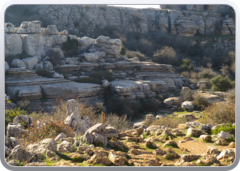 028 Torcal de Antequera (49)