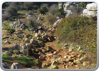 028 Torcal de Antequera (51)