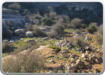 028 Torcal de Antequera (52)