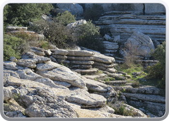 028 Torcal de Antequera (53)