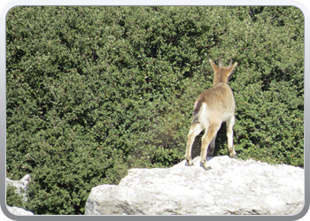 028 Torcal de Antequera (57)