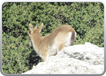 028 Torcal de Antequera (61)