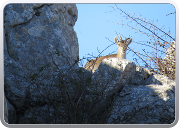 028 Torcal de Antequera (64)