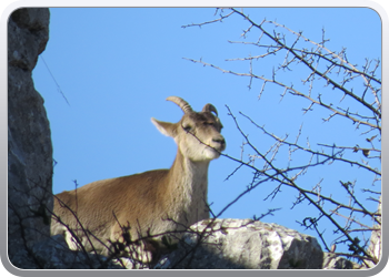 028 Torcal de Antequera (68)