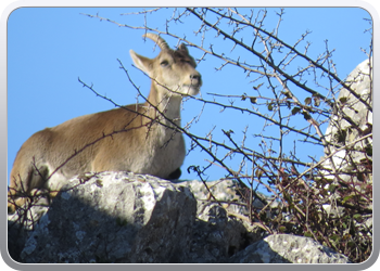 028 Torcal de Antequera (69)