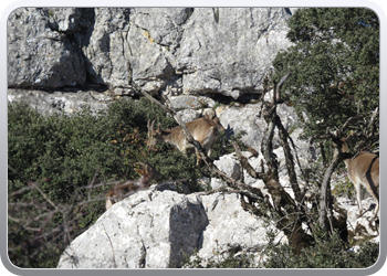 028 Torcal de Antequera (88)