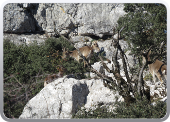 028 Torcal de Antequera (89)