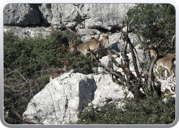 028 Torcal de Antequera (90)