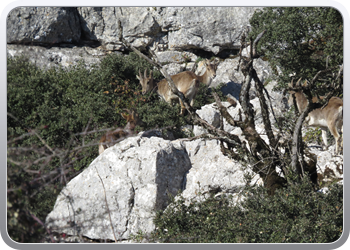 028 Torcal de Antequera (91)