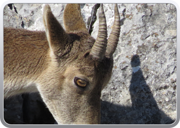 028 Torcal de Antequera (97)