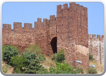 051 Silves (36)