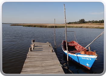 088 Comporta en zijn bewoners (12)