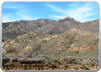 021 Aguilas (45)