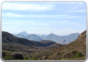 021 Aguilas (47)