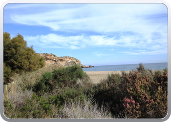 021 Aguilas (60)