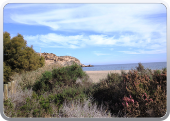 021 Aguilas (62)