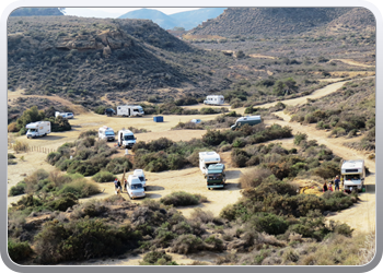 022 Aguilas (29)