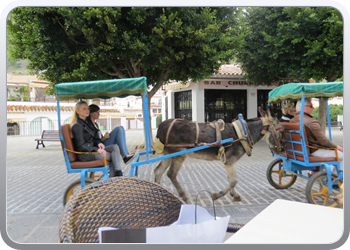 027 Mijas  (23)