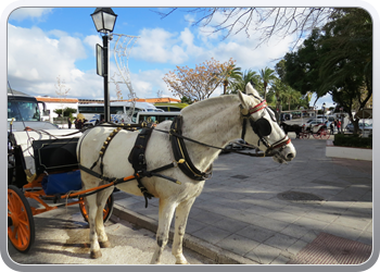 027 Mijas  (39)