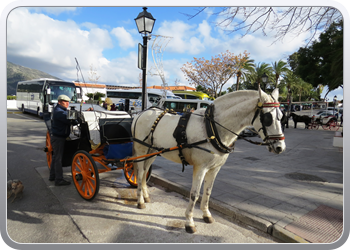 027 Mijas  (40)