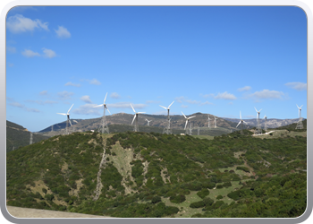 033 Op weg naar Zahara de los Atunes (8)