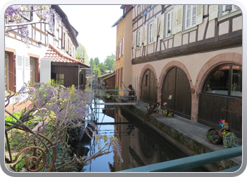 199 wissembourg (1)