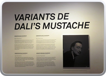 194 Bezoek aan het Dali museum (65)