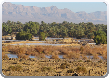 122 Via de Draa vallei naar Ouarzazate (1)