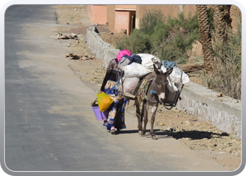 122 Via de Draa vallei naar Ouarzazate (18)