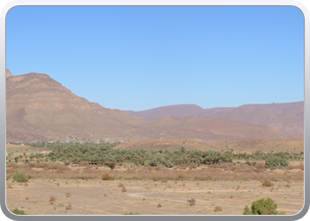 122 Via de Draa vallei naar Ouarzazate (24)