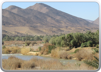 122 Via de Draa vallei naar Ouarzazate (27)