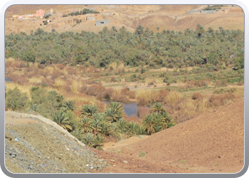 122 Via de Draa vallei naar Ouarzazate (28)