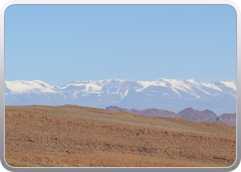 122 Via de Draa vallei naar Ouarzazate (39)