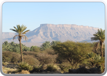 122 Via de Draa vallei naar Ouarzazate (5)