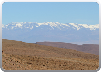 122 Via de Draa vallei naar Ouarzazate (52)