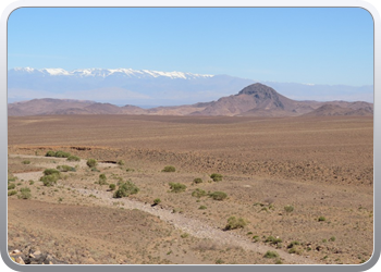 122 Via de Draa vallei naar Ouarzazate (65)