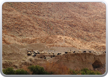 131 Via de Toughdra vallei naar Goulemime (91)