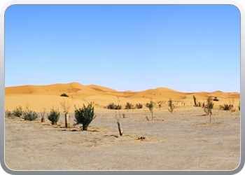 135 Van Erfoud naar woestijn Merzouga (23)