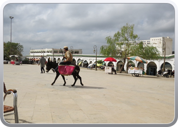 153 Moulay Idriss (13)