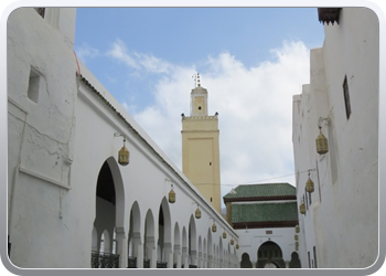 153 Moulay Idriss (15)