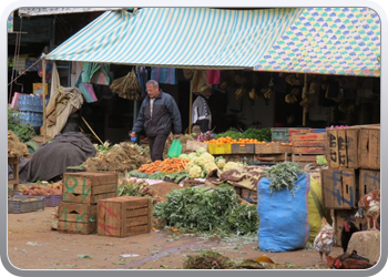 153 Moulay Idriss (22)