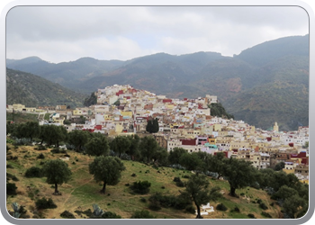 153 Moulay Idriss (26)