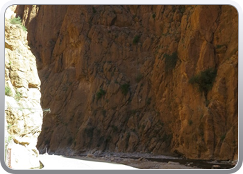 130 Gorges en vallee du Toudgha (49)