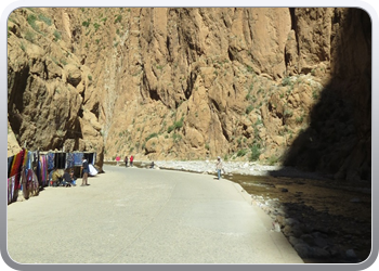 130 Gorges en vallee du Toudgha (50)