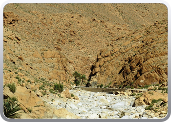 130 Gorges en vallee du Toudgha (67)