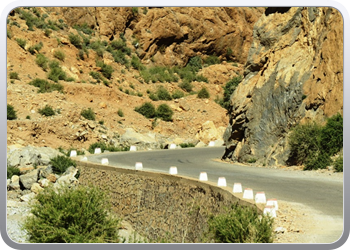 130 Gorges en vallee du Toudgha (70)