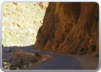 130 Gorges en vallee du Toudgha (73)