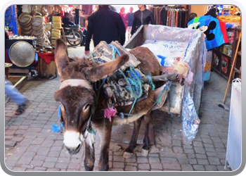 081 Souks van Marrakech (18)