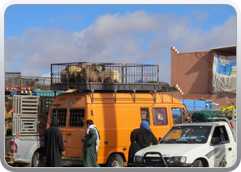 112 De kamelenmarkt (5)